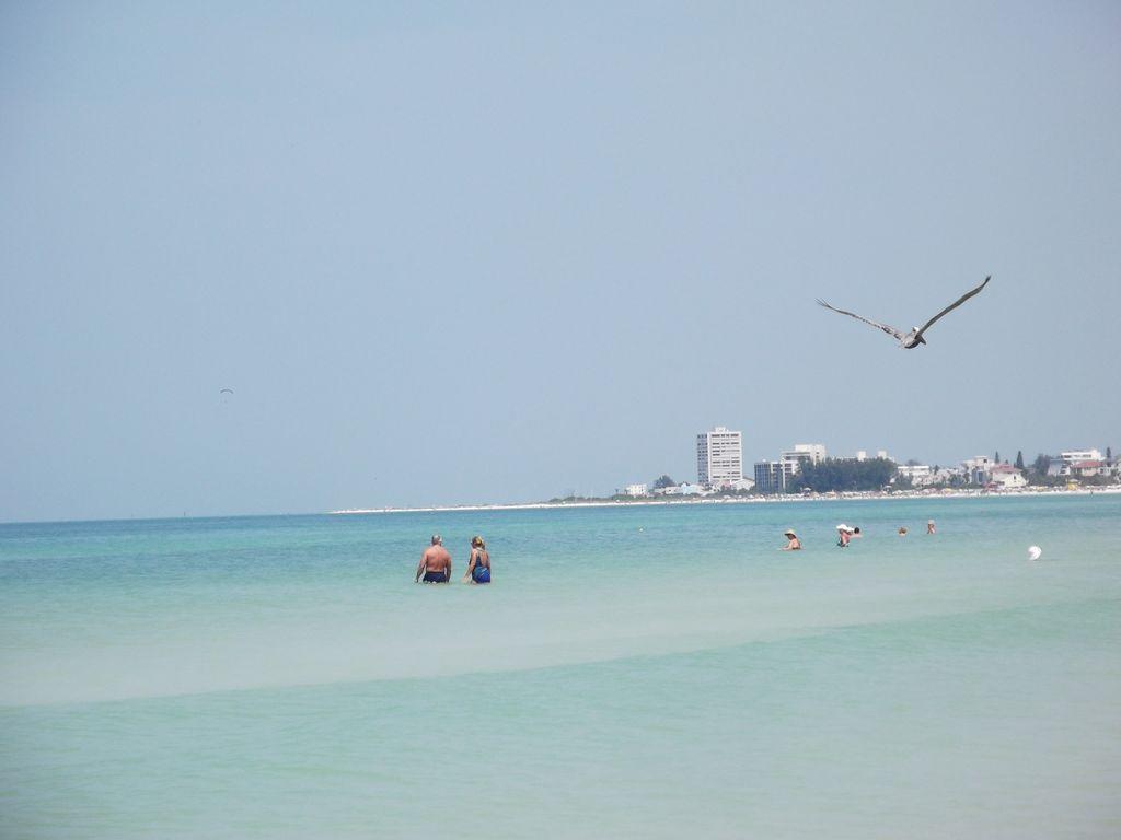 2BR/1BA Vacation Rental - Sienna Park Sarasota Esterno foto